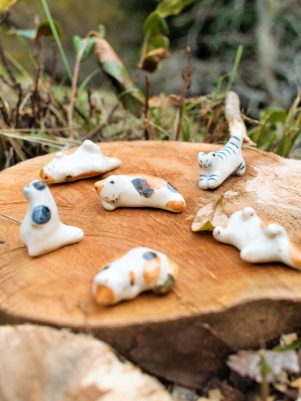 PB303850 (2) / / / / /