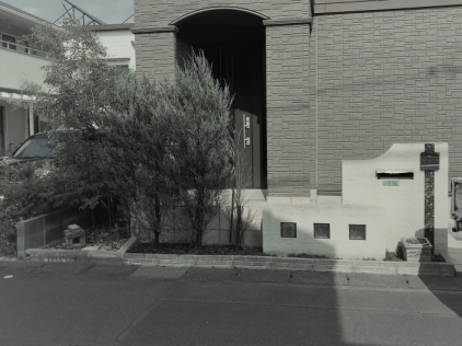 �̿� 2018-07-19 15 27 41 / / / / / / /