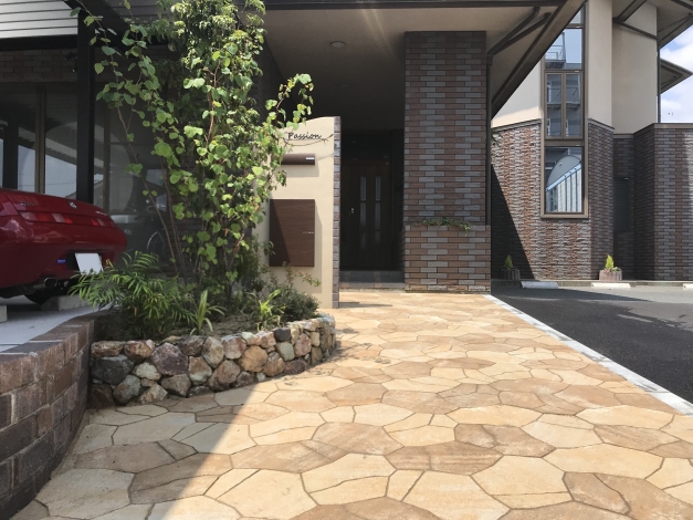 ���ץ���������