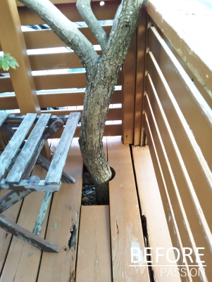 �ӥե�����3