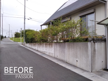 �ӥե�������