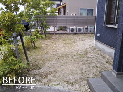 ビフォアー3 ビフォアー3