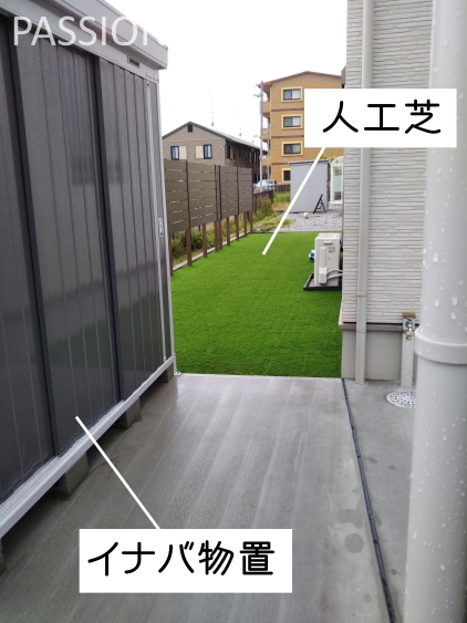 �͹��ǡ�ʪ��