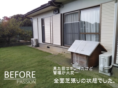 B�����ڡ���