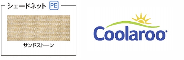 ������롼