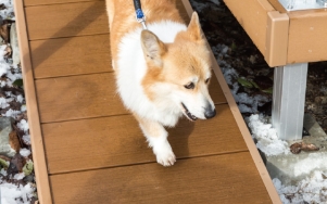 ���ێ��̎�