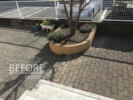 �̿� 2021-02-02 13 37 12 / / /