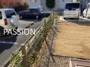 �̿� 2021-11-16 9 54 12