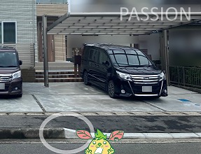 ������ʬ