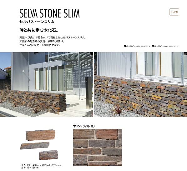 ���َʎގ��Ď���