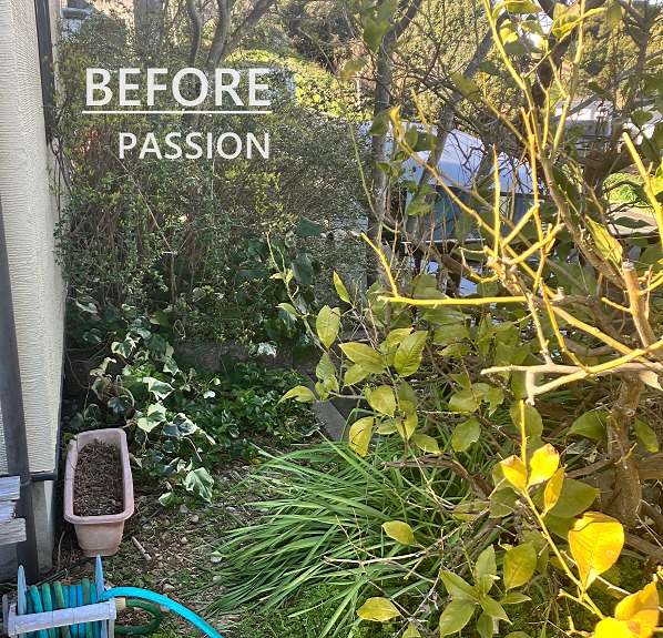 ����¦(�ܹ���)