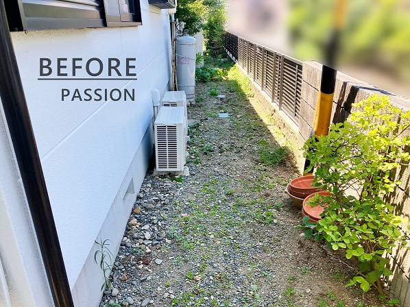 ���ץ�����(�ܹ���2)