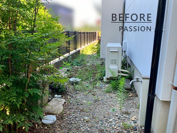 ���ץ�����(�ܹ���1)