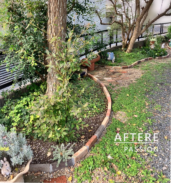 ��2(�ܹ���)