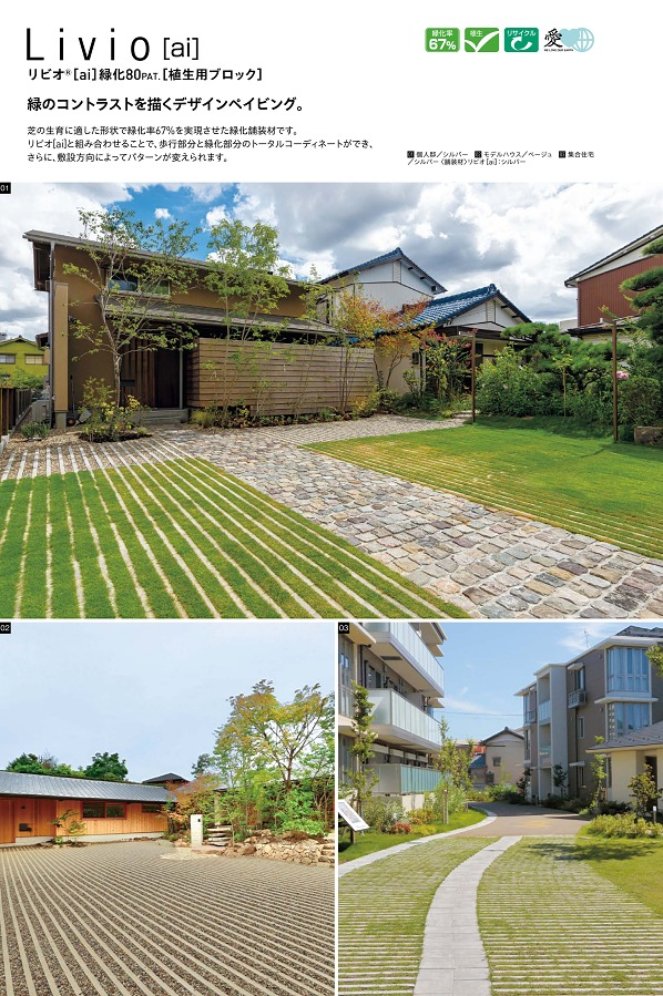 �؎ˎގ��в�1