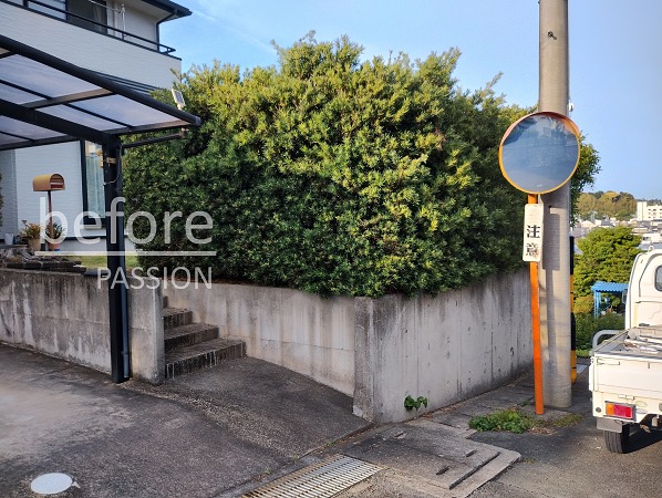 before-hedge-garden-boundary