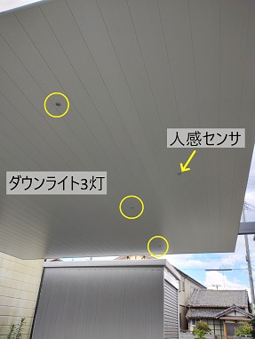 carport-sc-54-57-naturalsilver-black-dounlight-hamamatsu-2