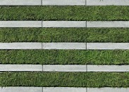 �؎ˎގ��в�(���َʎގ�)