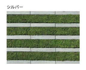 �؎ˎގ��в�