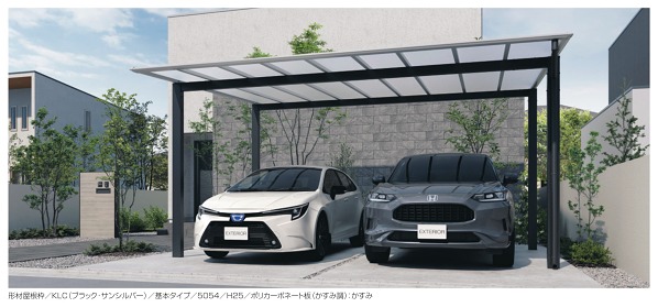 �������؎��Ď�